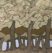 Alberi contro il cielo